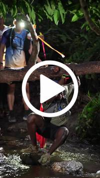 BIB:  <button type="button" onclick="openModal(27825083)" class="btn btn-primary btn-sm float-right" data-toggle="modal" data-target=".modal-high-quality">
                <i class="fa fa-download"></i> Download
                </button>